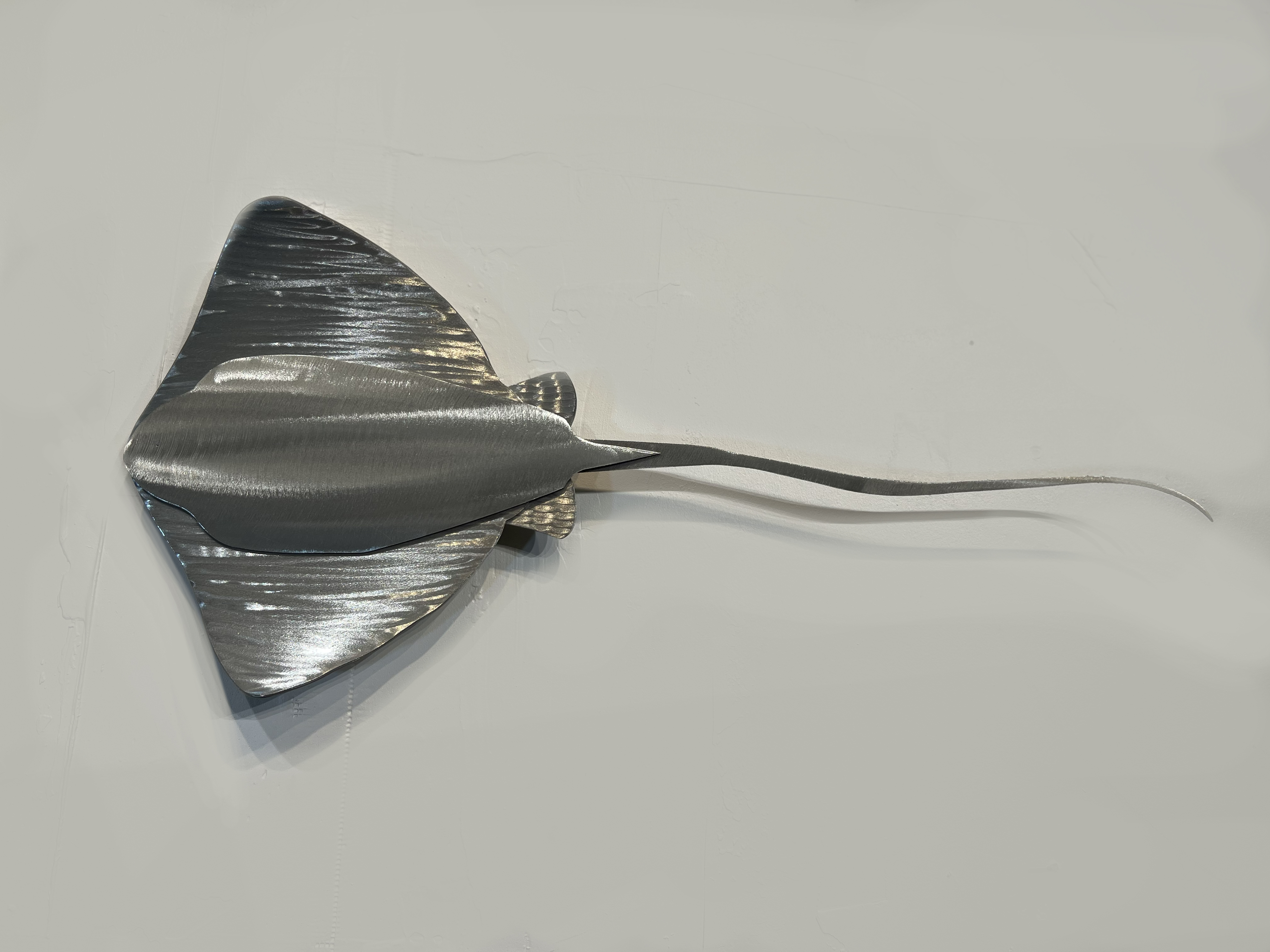 Sting Ray, Series 1