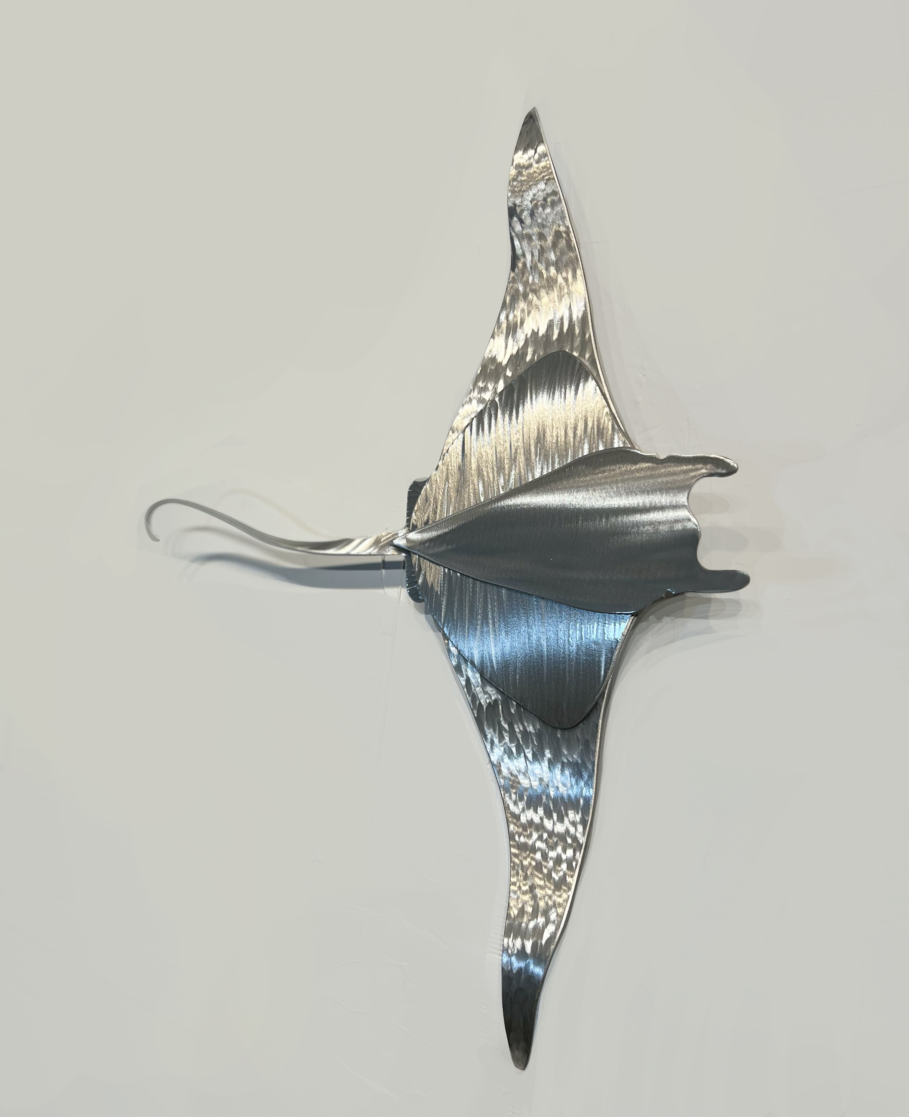 Manta Ray, Series 1