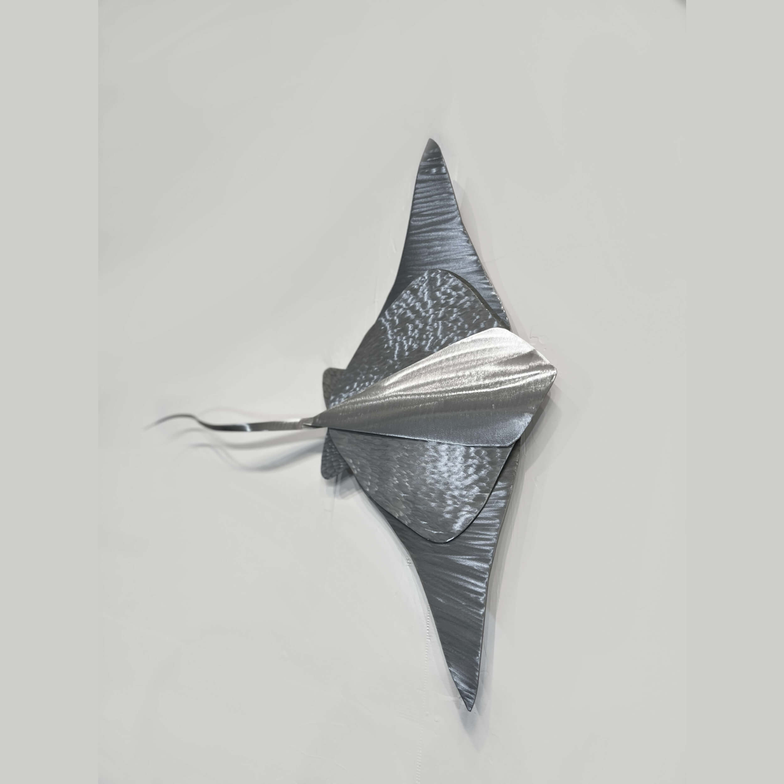 Eagle Ray, Series 1