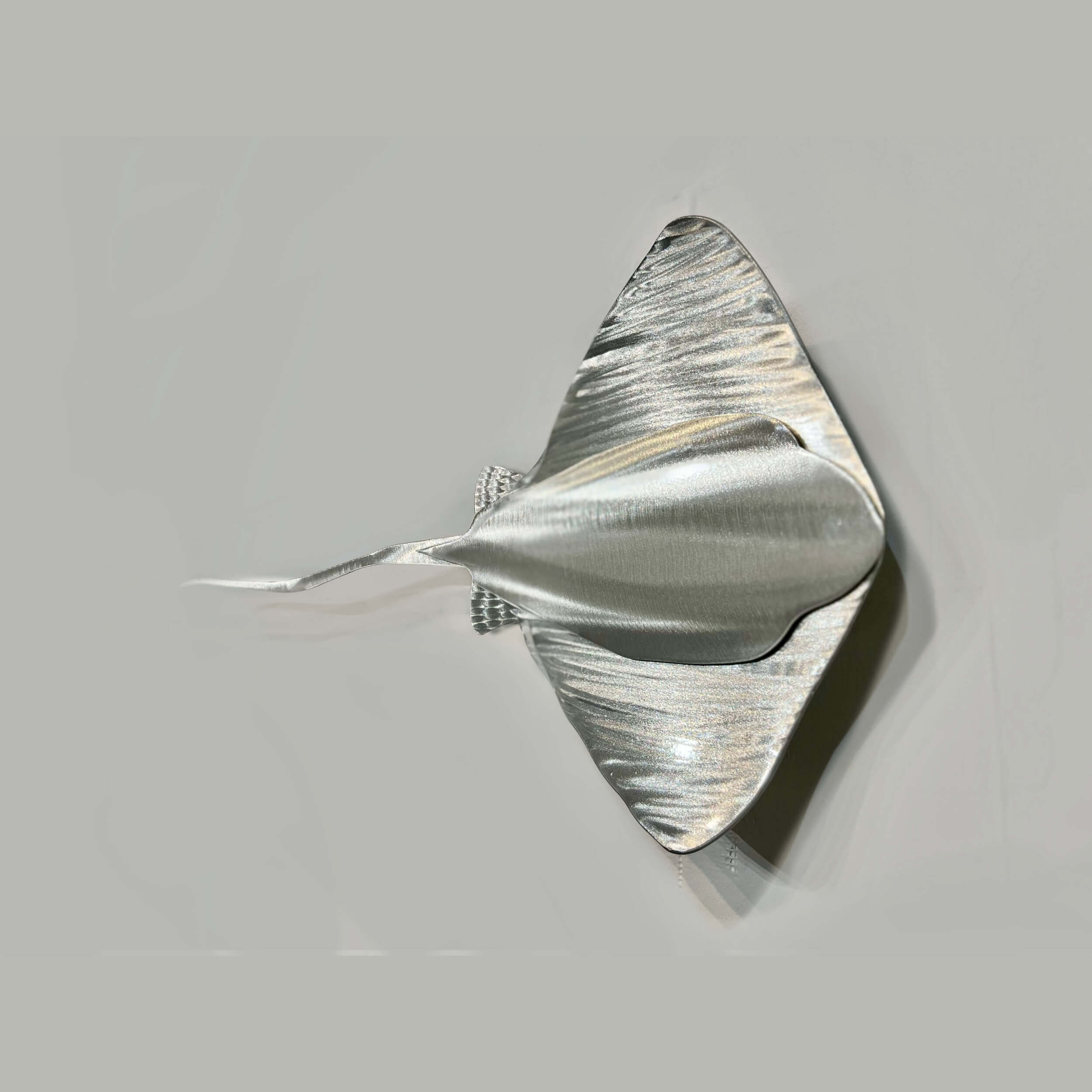 Sting Ray, Series 1