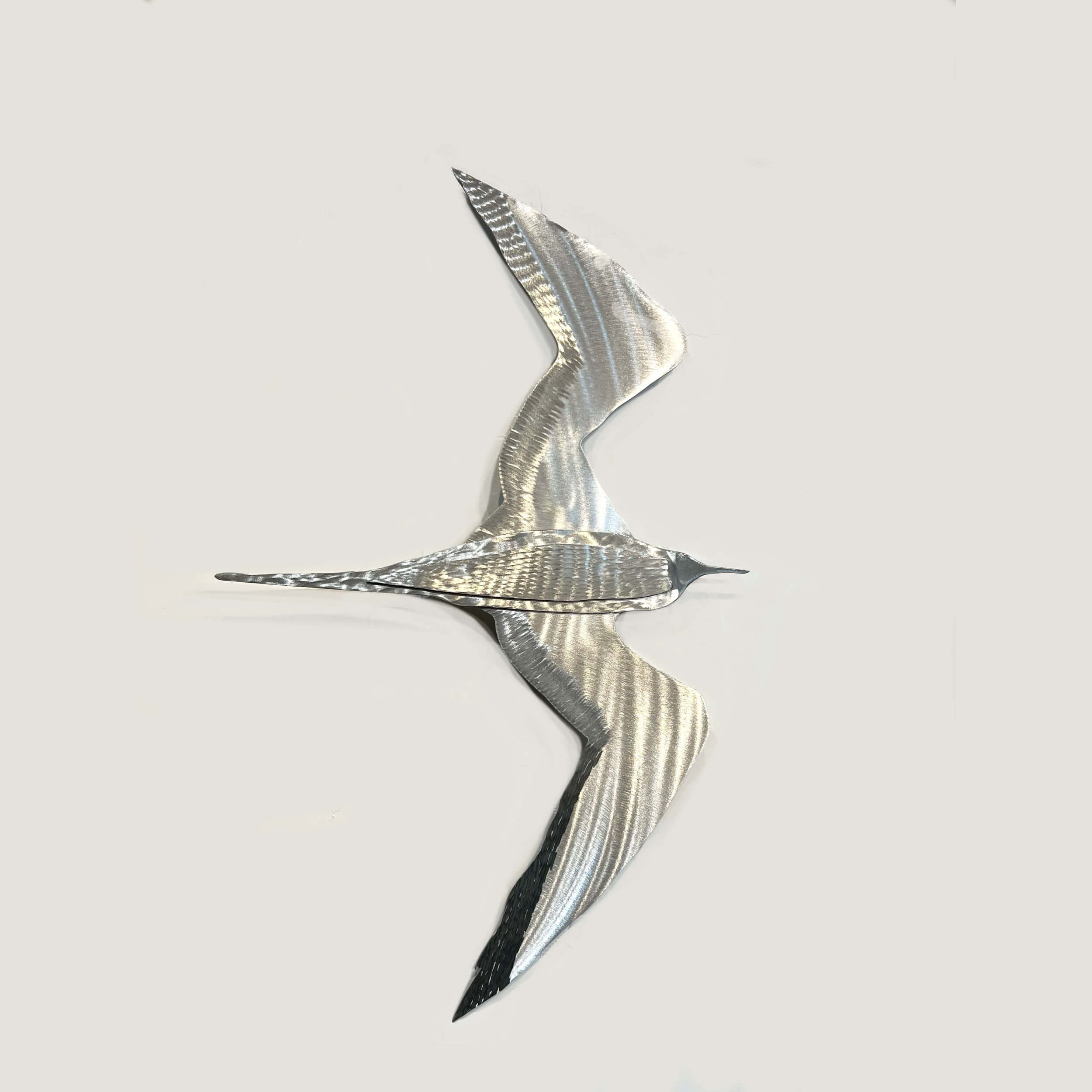 Frigate Bird, Series 1