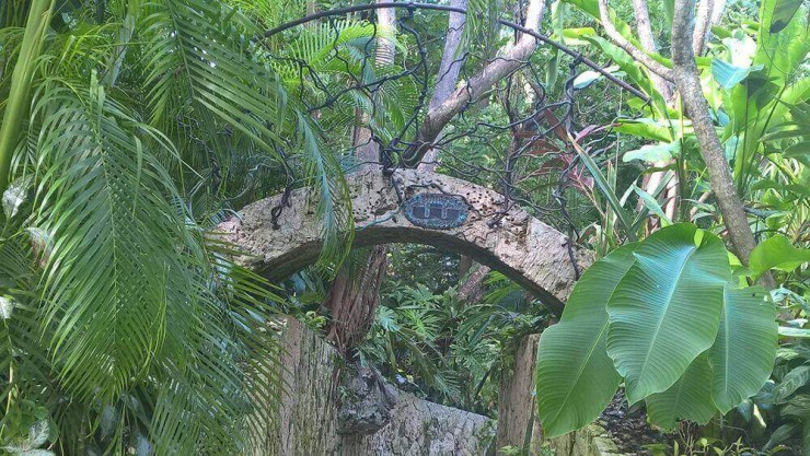 garden-structures-in-cayman-islands-image17