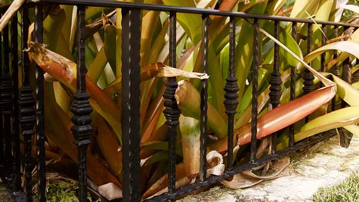 interior-and-exterior-railings-in-cayman-islands-image32